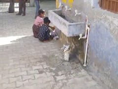 UP News: एटा के प्राइमरी स्कूल में कूड़ा उठाते दिखे बच्चे, बीएसए ने दिए जांच के निर्देश, जानिए पूरा मामला