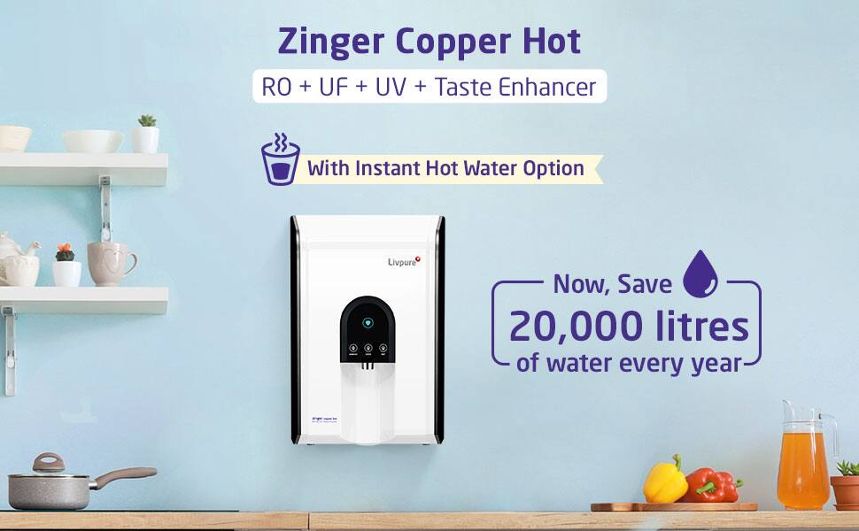 इस RO से मिलेगा डाइजेशन और इम्यूनिटी बढ़ाने वाला पानी, डील में मिल रही है भारी छूट