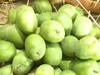 Mango News : इतिहासात प्रथमच गुढी पाडव्याला आंब्याची आवक कमी, अवकाळी पावसाचा मोठा फटका