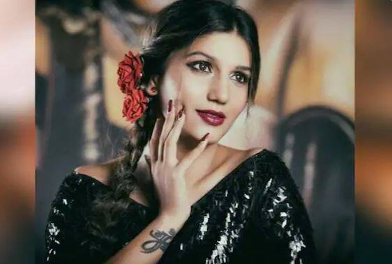 ਤਸਵੀਰ 'ਚ ਸਪਨਾ ਚੌਧਰੀ ਕਾਲੇ ਰੰਗ ਦੇ ਗਾਊਨ 'ਚ ਨਜ਼ਰ ਆ ਰਹੀ ਹੈ। ਉਸਨੇ ਸਿਲਵਰ ਕਲਰ ਦੇ ਝੁਮਕੇ ਪਹਿਨੇ ਹੋਏ ਹਨ ਅਤੇ ਉਸਦੇ ਵਾਲ ਖੁੱਲੇ ਹਨ।