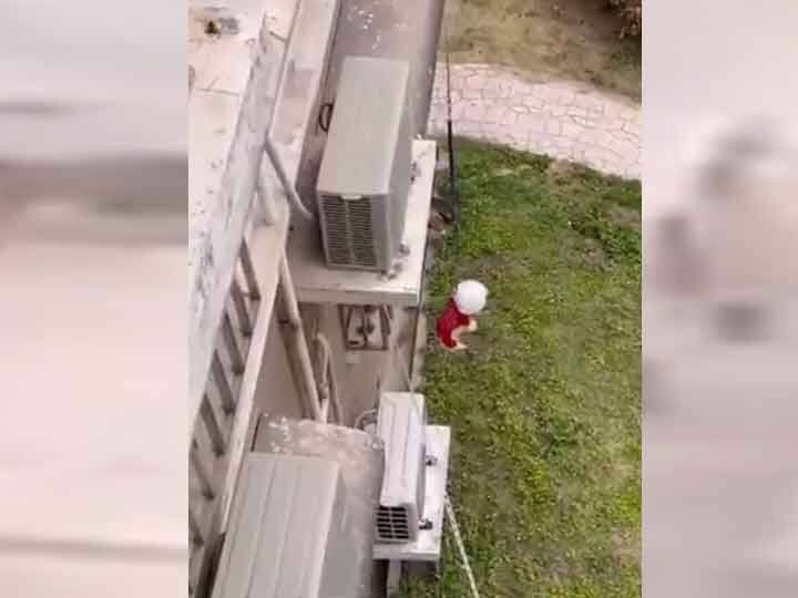 video of the dog being pulled down from the roof with a rope goes viral, users says this is cruelty Video: कुत्ते को रस्सी के जरिए छत से नीचे उतारने का वीडियो वायरल, यूजर्स ने कहा- ये है क्रूरता
