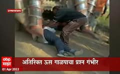Osmanabad Sugarcane Special Report: ऊस तोडणीसाठी शेतकऱ्याचा टाहो ABP Majha