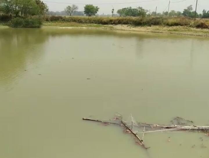 Prayagraj News: प्रयागराज में 2 बच्चों की तालाब में डूबने से हुई मौत, परिजनों ने लगाया ये बड़ा आरोप UP News2 children died due to drowning in the pond, the family members accused of drowning in Prayagraj ann Prayagraj News: प्रयागराज में 2 बच्चों की तालाब में डूबने से हुई मौत, परिजनों ने लगाया ये बड़ा आरोप