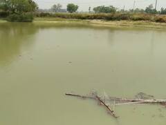 Prayagraj News: प्रयागराज में 2 बच्चों की तालाब में डूबने से हुई मौत, परिजनों ने लगाया ये बड़ा आरोप