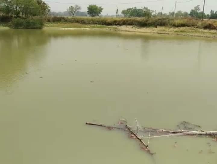 UP News2 children died due to drowning in the pond, the family members accused of drowning in Prayagraj ann Prayagraj News: प्रयागराज में 2 बच्चों की तालाब में डूबने से हुई मौत, परिजनों ने लगाया ये बड़ा आरोप