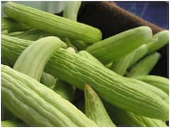 ककड़ी खाने से होते हैं शरीर को कई फायदे, गर्मियों में खूब खाएं ककड़ी