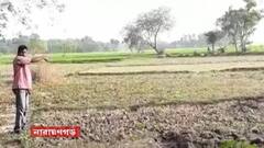 Narayangrah:বিজেপি করায় বিধানসভা ভোটের পর থেকেই চাষ করতে না দেওয়ার অভিযোগ।Bangla News