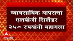 Commercial Gas : व्यावसायिक वापराचा LPG सिलेंडर 250 रुपयांनी महागला ABP Majha
