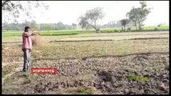 Pashchim Medinipur: বিজেপি করায় বন্ধ চাষ! অভিযোগে সরগরম নারায়ণগড়