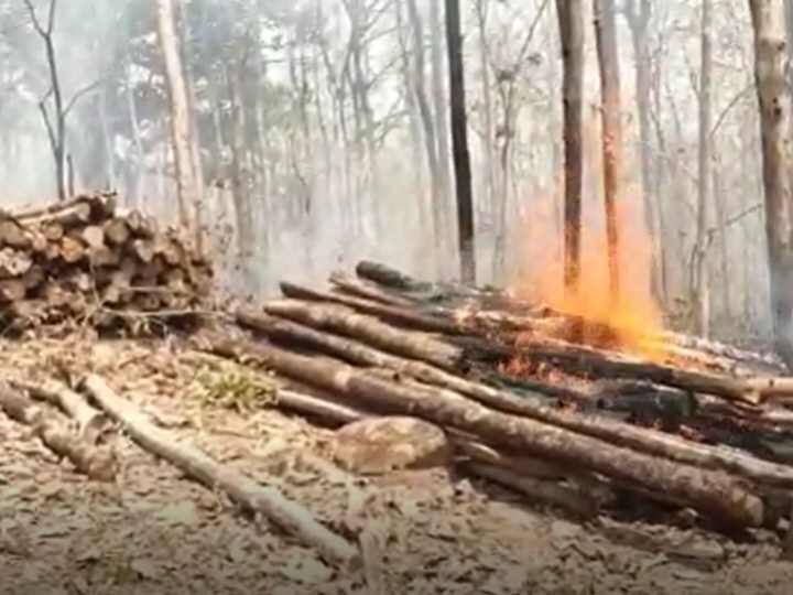 Gariaband Chhattisgarh fire on Many areas of Udanti Sitanadi Sanctuary for past one week forest workers on strike ANN Gariaband News: छत्तीसगढ़ के उदंती सीतानदी सेंचुरी में भीषण आग, वनकर्मियों का दावा 40 फीसदी जंगल जल रहे, बुझाने वाले गए हड़ताल पर