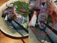 थाली में परोसी गई मछली ने अपना मुंह खोल चॉपस्टिक को दांतों में फंसाया, देखें हैरान कर देने वाला ये वीडियो