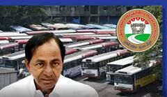 Ugadi Offer Telangana : 65 ఏళ్లకు పైబడిన సీనియర్‌ సిటిజన్స్ కు ఉచిత ప్రయాణం | ABP Desam