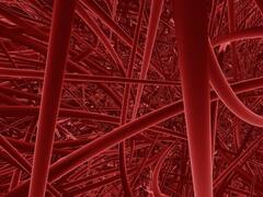 Food: ఎలాంటి ఆహారాలు తింటే రక్తనాళాలు మూసుకుపోతాయో తెలుసా? ఇదిగో ఇవే