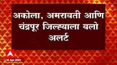 Maharashtra Heat : विदर्भात आज आणि उद्या उष्णतेच्या लाटेची शक्यता, यलो अलर्ट जाहीर