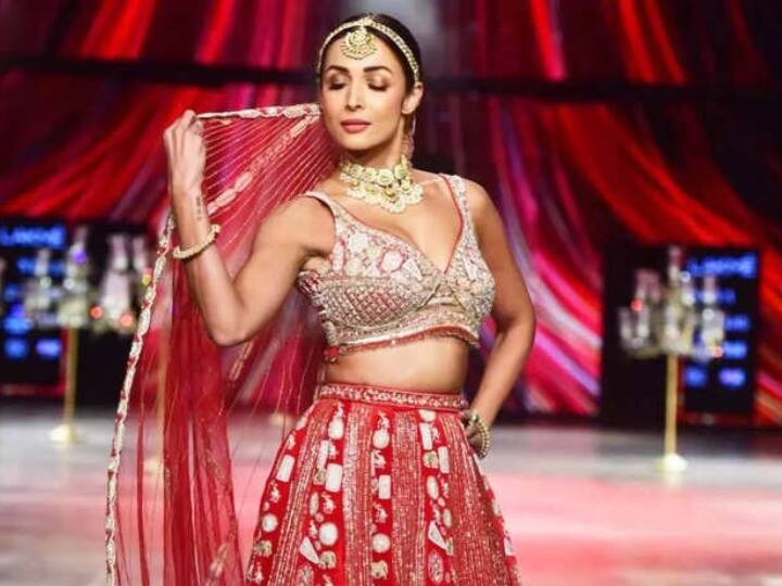 malaika arora dance performance on her iconic song chhaiya chhaiya video viral अपने आईकॉनिक गाने छैयां छैयां पर मलाइका अरोड़ा ने लगाए ठुमके, डांस मूव्स पर टिकीं लोगों की नजरें