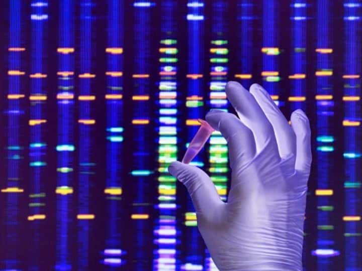 Scientists Decode How The Entire Human Genome Was Sequenced. Know Why It's Important Scientists Decode How The Entire Human Genome Was Sequenced. Know Why It's Important