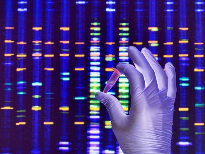Bagaimana seluruh genom manusia diurutkan, dan mengapa itu penting