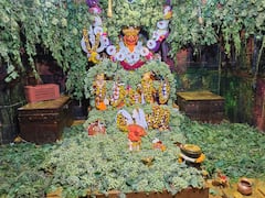 Jejuri : हिरव्यागार द्राक्ष वेलींच्या सजावटीमुळे खुलले जेजुरीच्या खंडेरायाचे रुप