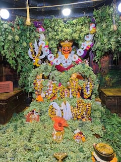 Jejuri : हिरव्यागार द्राक्ष वेलींच्या सजावटीमुळे खुलले जेजुरीच्या खंडेरायाचे रुप