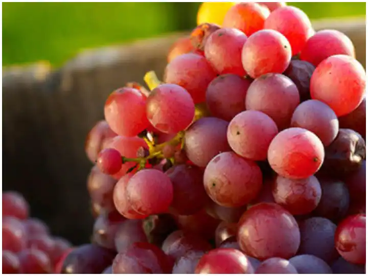 Red grapes are beneficial for the face, know its benefits ਲਾਲ ਅੰਗੂਰ ਚਿਹਰੇ ਲਈ ਹੁੰਦੇ ਨੇ ਲਾਭਕਾਰੀ, ਜਾਣੋ ਇਸਦੇ ਫਾਇਦੇ