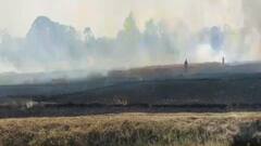 Chandauli: किसानों की 40 बीघा गेहूं की फसल जलकर राख होने की आशंका | Hindi