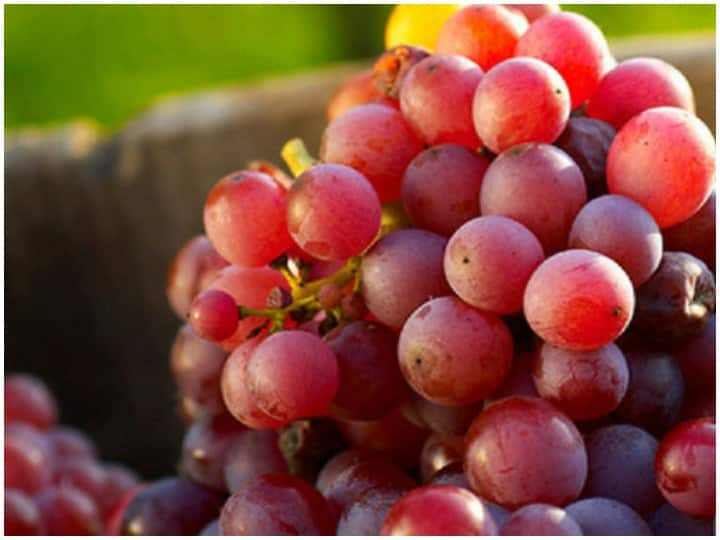 Health Tips, Red Grapes are Beneficial for the Face, Benefits of Red Grapes लाल अंगूर होता है चेहरे के लिए लाभकारी, जानें इसके फायदे