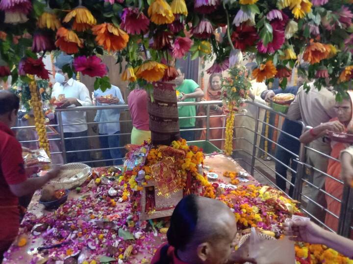 वाराणसी और कोलकाता से मंगाए गए फूलों से पालने समेत पूरे गर्भ गृह की सजावट की गई है. श्रद्धालु यहां आज पहले दिन नारियल चुनरी व फूल चढ़ाकर देवी मां का आशीर्वाद ले रहे हैं.