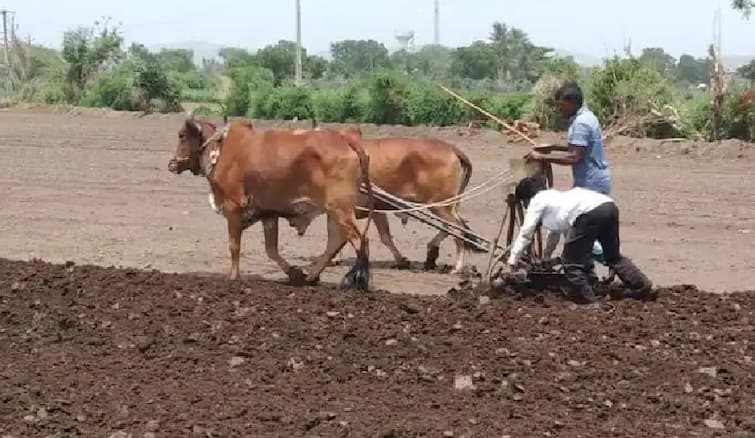 i-Khedut: All information related farming on i khedut portal check details i-Khedut: આ પોર્ટલ પરથી ગુજરાતના ખેડૂતોને આંગળીના ટેરવે મળે છે હવામાન સહિતની તમામ માહિતી, જાણો વિગત