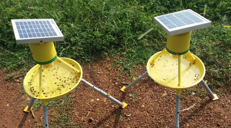 Know about Gujarat Solar Light Trap Yojana and where to apply for it Gujarat Solar Light Trap Yojana : પાકને જંતુઓથી બચાવવા આ યોજનામાં ગુજરાત સરકાર આપે છે આટલી સહાય, જાણો ક્યાં કરશો અરજી