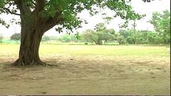 Body Recover: ময়দানে ঝুলন্ত দেহ উদ্ধার, ঘটনায় চাঞ্চল্য।Bangla News