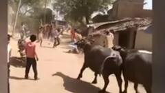 हमीरपुर के सुमेरपुर इलाके में दो पक्षों में हुई मारपीट, देखिए खबरें फटाफट !