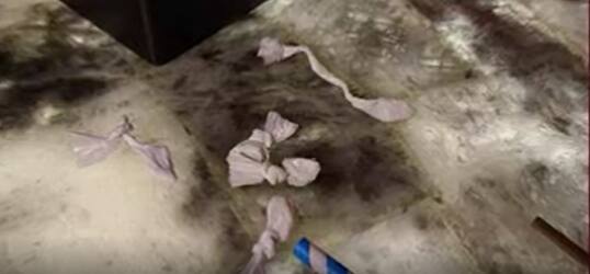 Pudding & Mink Pub Drugs: Banjara Hills Police Station నుంచి ఒక్కొక్కరుగా వెళ్తున్న Celebrities