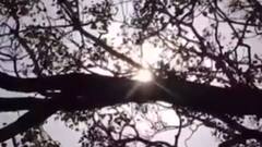 Weather : बढ़ती गर्मी से लोगों का बुरा हाल, अप्रैल में ही जला रही है गर्मी