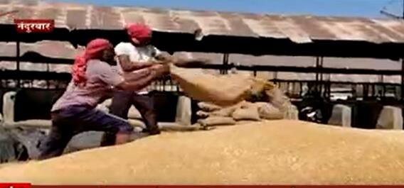 Russia Ukraine War Affects Wheat: रशिया युक्रेन युद्धामुळे गव्हाचे दर वाढले ABP Majha