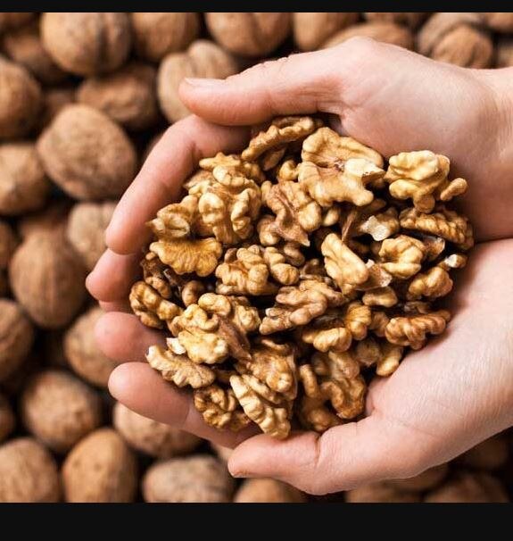 Benefits Of Nuts: 'বন্ধু' বাদামে ফিরবে হারানো স্বাস্থ্য