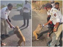 जंगल में प्यास से तड़प उठा बंदर तो मदद के लिए सामने आई पुलिस, बोतल से पानी पिलाता नजर आया कांस्टेबल
