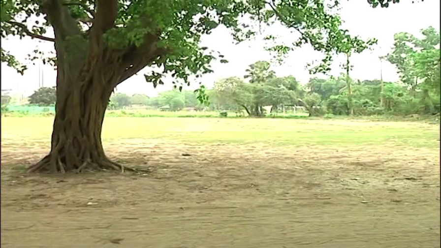 Maidan: মোহনবাগান মাঠের কাছে গাছ থেকে যুবকের ঝুলন্ত দেহ উদ্ধারের ঘটনায় চাঞ্চল্য ।Bangla News