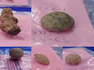 Keezhadi Excavation ; கீழடி 8-ஆம் கட்ட அகழாய்வில் 400-க்கும் மேற்பட்ட பொருட்கள்.. மாவட்ட ஆட்சியர் பள்ளி மாணவர்களுக்கு விளக்கம் !