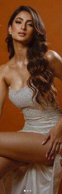 ਹਾਈ ਥਾਈ ਸਲਿਟ ਗਾਊਨ ਪਹਿਨ ਕੇ ਪਲਕ ਤਿਵਾਰੀ ਨੇ ਢਾਹਿਆ ਕਹਿਰ