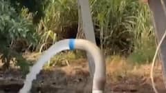 ફટાફટ: દક્ષિણ ગુજરાતના ખેડૂતોને અપાઈ પૂરતા પ્રમાણમાં વીજળી, જુઓ ગુજરાતી ન્યુઝ