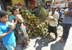 புதுக்கோட்டை : வெப்பத்தை சமாளிக்க இயற்கை வழி தேடும் மக்கள்.. நுங்கு, தர்பூசணி, இளநீர் விற்பனை அமோகம்