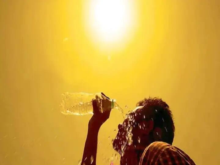 Rise in temperature in the country, heat wave will hit some states in the next 24 hours Weather Update : उष्णतेचा प्रकोप, येत्या 24 तासात देशातील 'या' भागात येणार उष्णतेची लाट