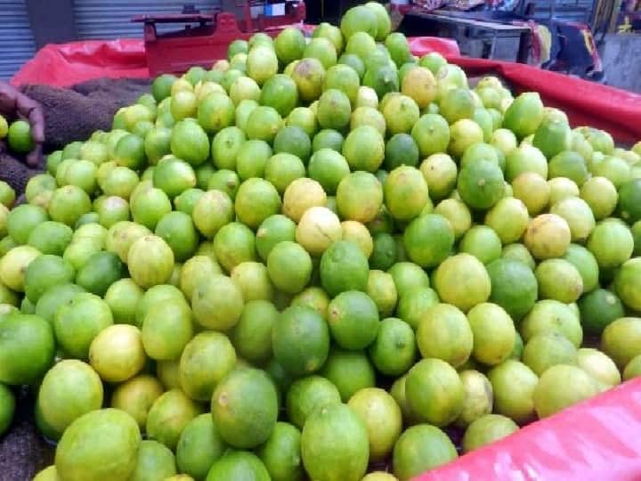 Lemon brought relief amid rising tomato-onion prices, know how much it costs ann Lemon Price: टमाटर-प्याज की बढ़ती कीमतों के बीच नींबू ने दिलाई राहत, जानें- कितना है बाजार में रेट