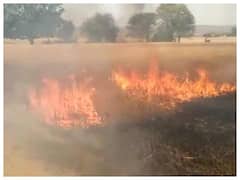 Chandauli News: किसानों पर आफत, चंदौली में फिर से आग लगने से 15 बीघा गेहूं की फसल जलकर राख, अधिकारी ने दिए ये निर्देश