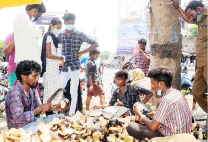 புதுக்கோட்டை : வெப்பத்தை சமாளிக்க இயற்கை வழி தேடும் மக்கள்.. நுங்கு, தர்பூசணி, இளநீர் விற்பனை அமோகம்