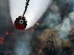 Sariska Tiger Reserve Fire: सरिस्का टाइगर रिजर्व में फिर लगी आग, SDRF ने भेजी और टीमें, जानिए क्या है स्थिति?