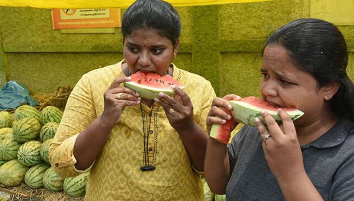 புதுக்கோட்டை : வெப்பத்தை சமாளிக்க இயற்கை வழி தேடும் மக்கள்.. நுங்கு, தர்பூசணி, இளநீர் விற்பனை அமோகம்