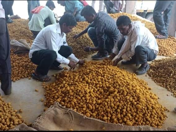 हिंगोलीच्या वसमतमध्ये हळद प्रक्रिया उद्योग उभारला जाणार, शंभर कोटींचा निधी मंजूर हिंगोलीच्या वसमतमध्ये हळद प्रक्रिया उद्योग उभारला जाणार, शंभर कोटींचा निधी मंजूर