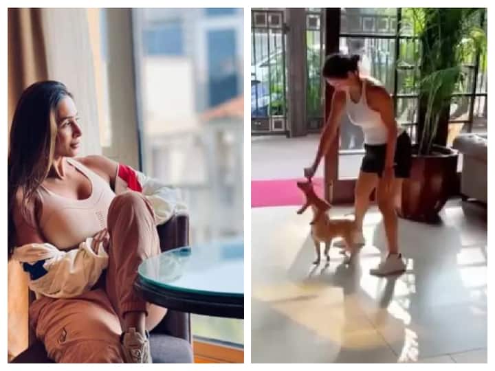 बॉलीवुड एक्ट्रेस मलाइका अरोड़ा का शनिवार को एक्सीडेंट हो गया था. जिसके बाद उनके माथे पर चोट लगी है. मलाइका के एक्सीडेंट के बारे में पता चलने के बाद हर कोई चौंक गया था. मलाइका की तबीयत अब ठीक है और उन्हें अस्पताल से डिस्चार्ज कर दिया गया है. आज हम आपको मलाइका अरोड़ा के उस आलीशान घर की तस्वीर दिखाने जा रहे हैं.
