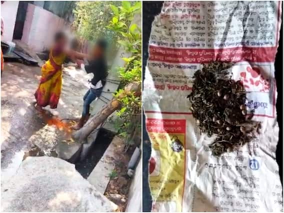 Kodada News : గంజాయికి బానిసైన కొడుకు, కట్టేసి కళ్లలో కారం కొట్టిన తల్లి! Kodada News : గంజాయికి బానిసైన కొడుకు, కట్టేసి కళ్లలో కారం కొట్టిన తల్లి!